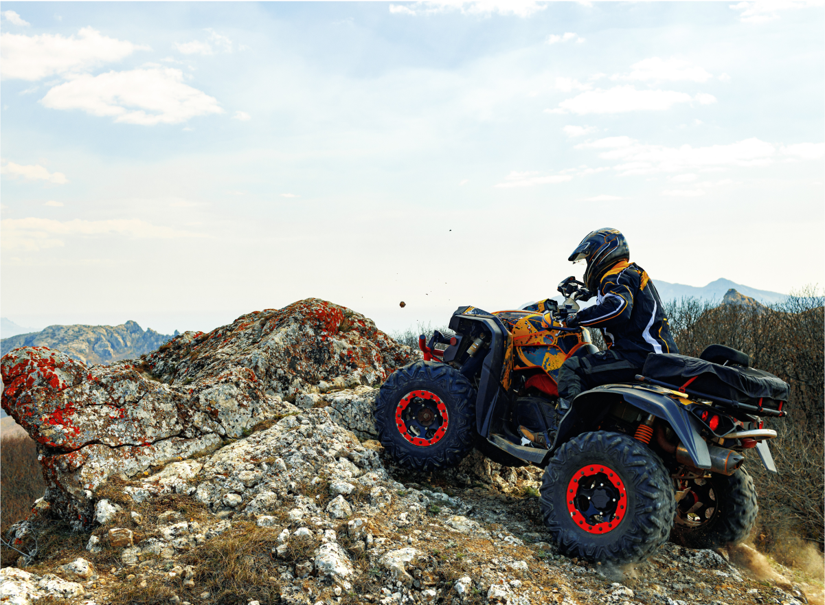 GROUP TOURS & ACTIVITIES